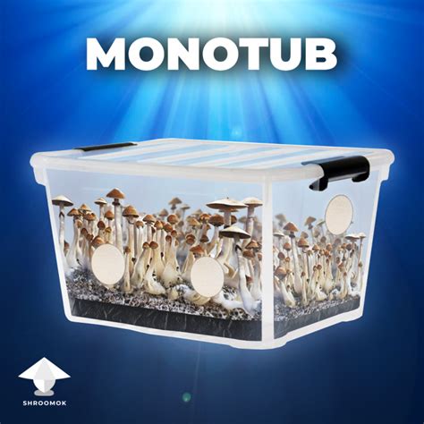 Forget Monotub Kit. DIY. How to make Monotub for Mushrooms by your own