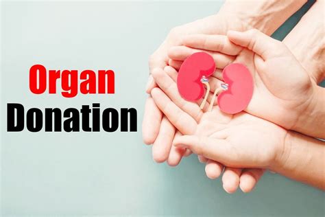 Organ Donation: 5 Things to Keep in Mind When Considering to Donate Organ