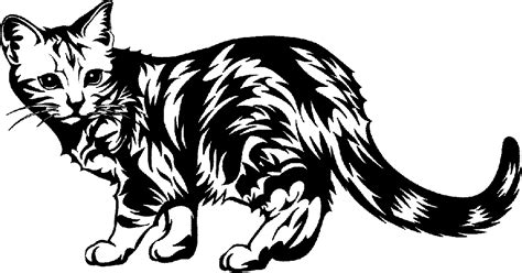 Free Images Of Cat, Download Free Images Of Cat png images, Free ClipArts on Clipart Library