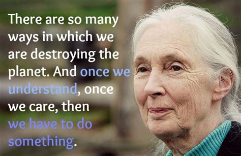 These Riveting Jane Goodall Quotes Will Inspire You To Fight For Nature – True Activist