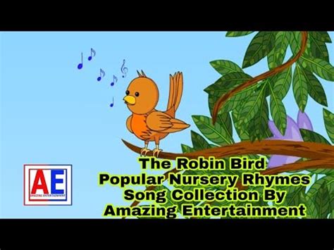 The Robin Bird | Popular Nursery Rhymes Song Collection By Amazing Entertainment - YouTube