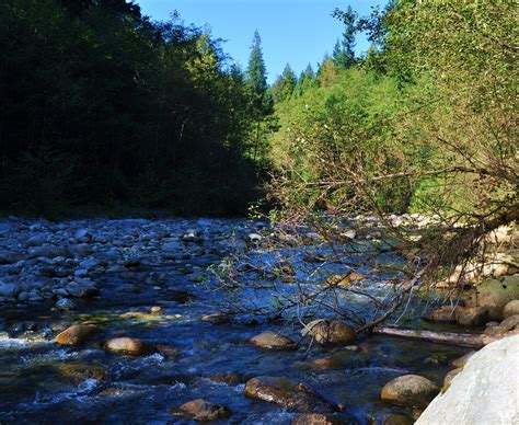 Lynn Valley Canyon.. I miss it so much. | Natural landmarks, Pacific northwest, Outdoor