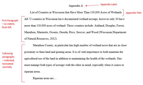 Sample Apa 7 Paper With Appendix - examples papers