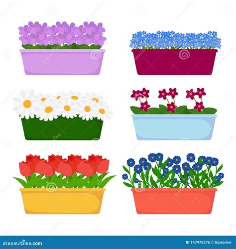 Vector House and Garden Flowers in Long Pots Vector Isolated on White Background Stock Vector ...