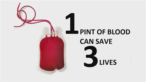 One pint of blood can save three lives, how does that work? | wfmynews2.com