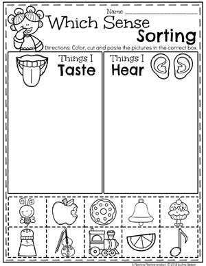 5 Senses - Planning Playtime | Senses preschool, Five senses preschool ...