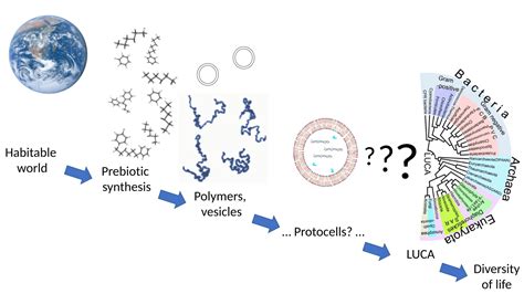 Abiogenesis - Wikiwand