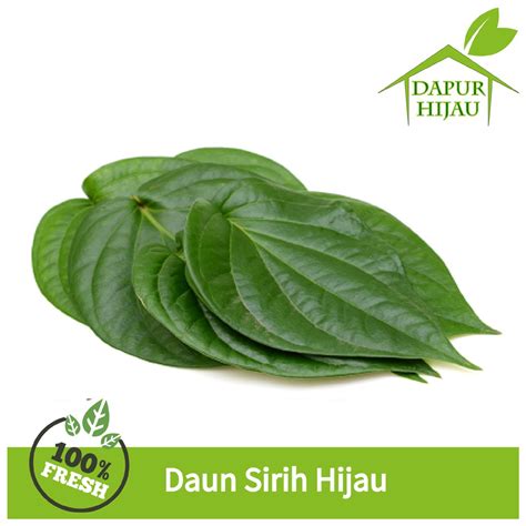 Jual Daun Sirih Hijau - Segar dan Herbal Organik - daun sirih segar ...