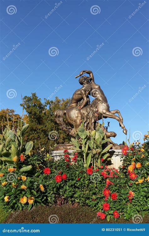 Park of the Golden Head in Lyon, France Stock Image - Image of plants, nature: 80231051