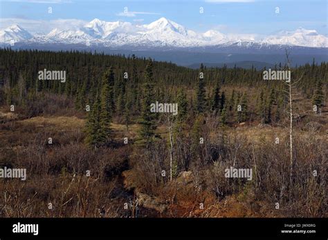 Delta junction alaska hi-res stock photography and images - Alamy