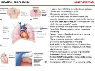 Cardiovascular system | PPT