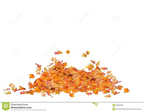 Leaf pile clipart 20 free Cliparts | Download images on Clipground 2024