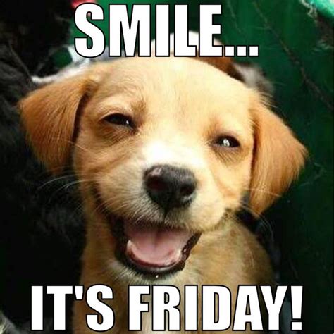 Happy Friday Meme Dog | Images and Photos finder