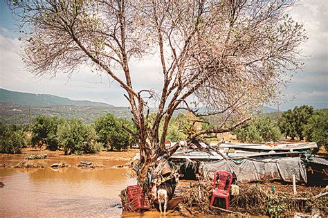 7 dead as floods hit Greek island | Kuwait Times Newspaper