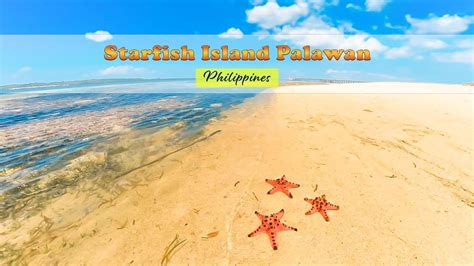 Starfish Island Palawan Amazing 1 Day Gone the Next