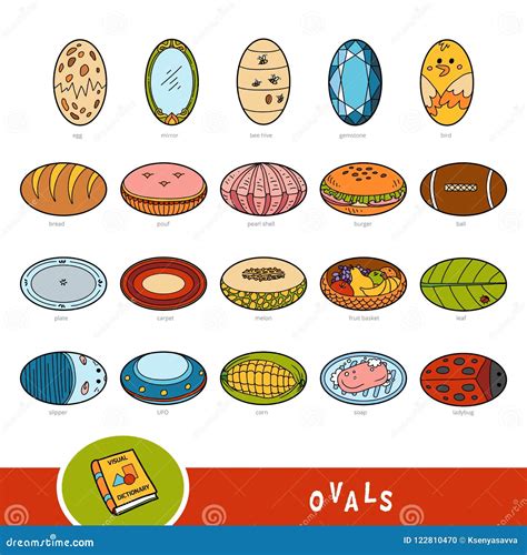 Colorful Set of Oval Shape Objects. Visual Dictionary Stock Vector ...