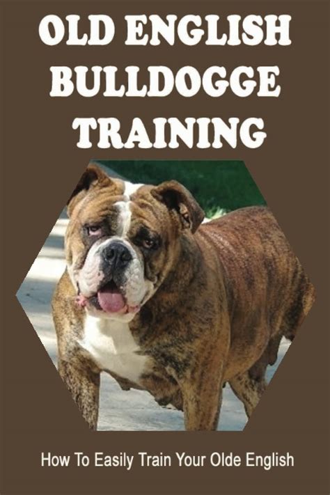 Buy Old English Bulldogge Training: How To Easily Train Your Olde ...