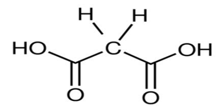 Malonic Acid - Assignment Point