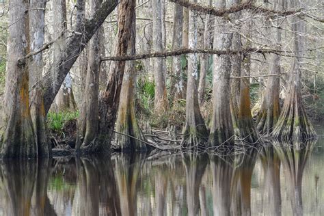 Visit Slidell: 2022 Travel Guide for Slidell, New Orleans | Expedia