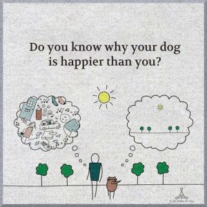 Do you know why your dog is happier than you? | Truth Inside Of You