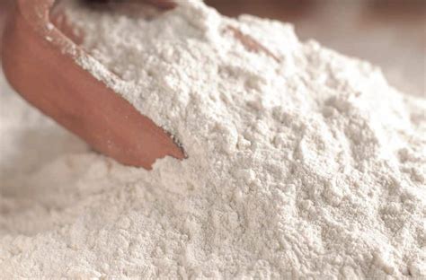 14 Little Bugs in the Flour (How to Get Rid of Them?)