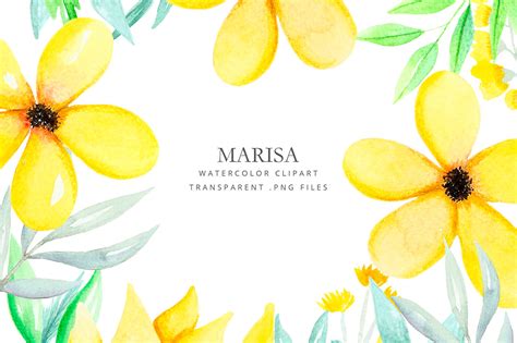 Clipart - Watercolor yellow flowers ~ Illustrations ~ Creative Market