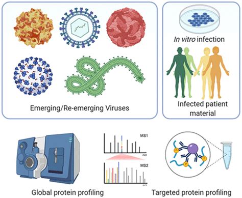 Chemistry in Coronavirus Research: A Free to Read Collection from the ...