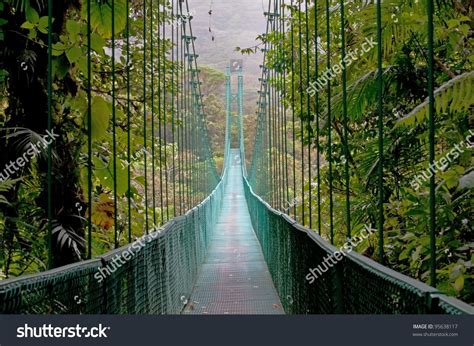 Hanging Bridge, Monteverde Cloud Forest, Costa Rica Stock Photo ...