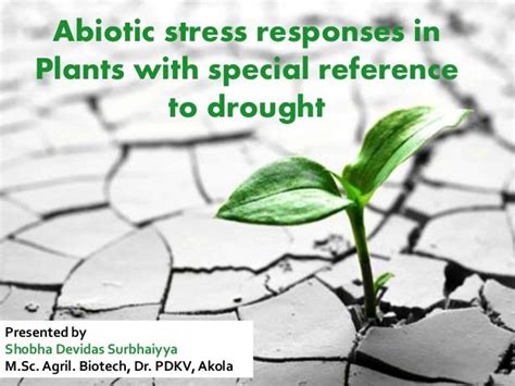 Abiotic stress responses in plants with special reference to drought