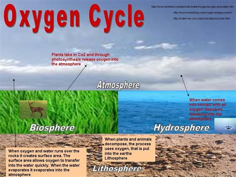 Hydrosphere, biosphere, atmosphere, lithosphere | Earth science, Fun education, Science and nature