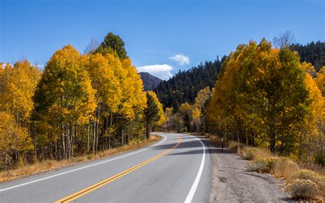 Best Spots to See Fall Foliage in Lake Tahoe - Catherine Chicotka