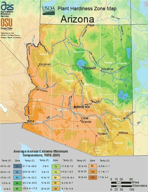 Arizona Planting Zones USDA Map of Arizona Growing Zones | Plant hardiness zone, Plant hardiness ...