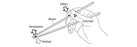 History of Chopstick Research - Marcosticks