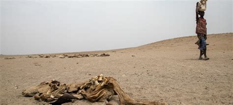 WMO: Greater Horn of Africa drought forecast to continue for fifth year ...