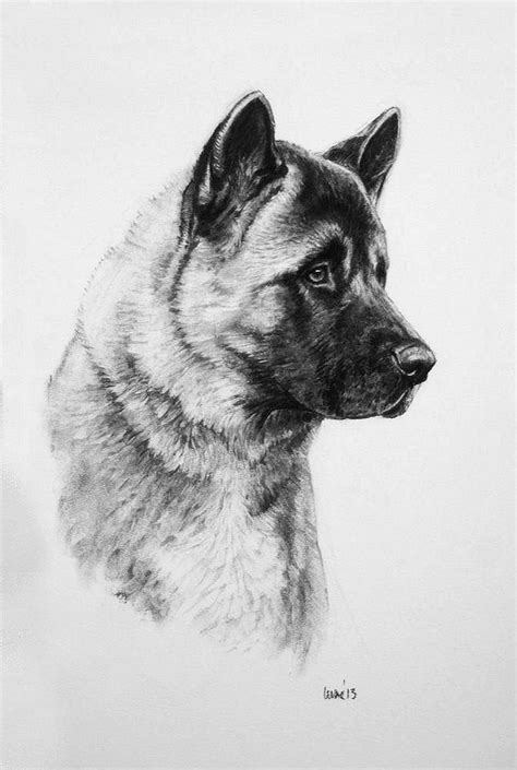 Akita dog drawing Limited Edition fine art print H Irvine | Dog wall art, German shepherd art ...