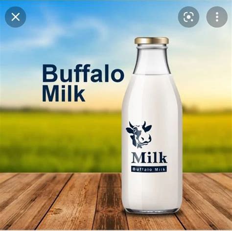 Buffalo Milk at Rs 65/litre | भैंस का दूध in Jaipur | ID: 22535274797