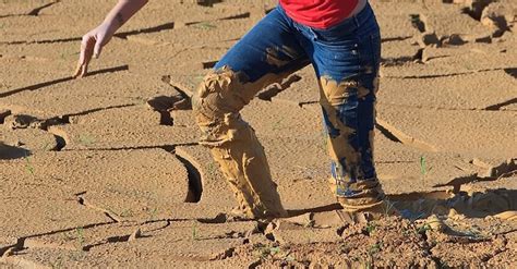 stuck_in_mud_2_004 - Rockhampton Psychology Services