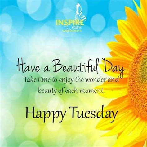 Happy Tuesday … | Happy day quotes, Tuesday quotes good morning, Tuesday quotes