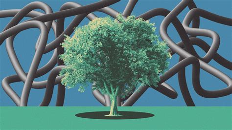 These 'supertrees' are engineered to capture more carbon