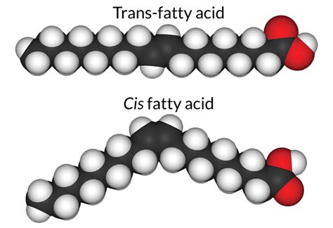 How trans fats oozed into our diet and out again | Science News