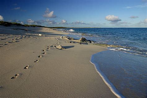 Top 60 Salt Cay Stock Photos, Pictures, and Images - iStock