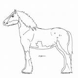 Clydesdale Horse Coloring Pages sketch template