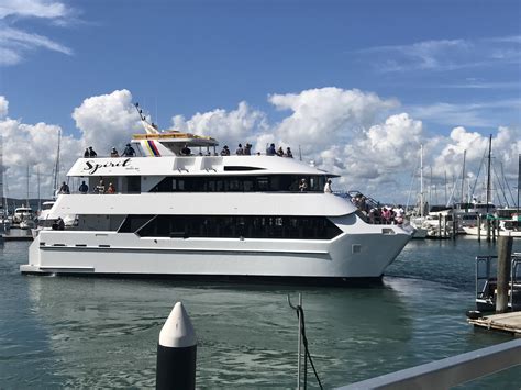 Mary River Cruise - Spirit Of Hervey Bay Whale Watching Cruises ...