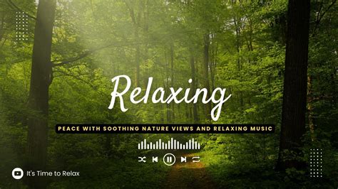 Find Inner Peace with Soothing Nature Views and Relaxing Music - It's Time to Relax - YouTube