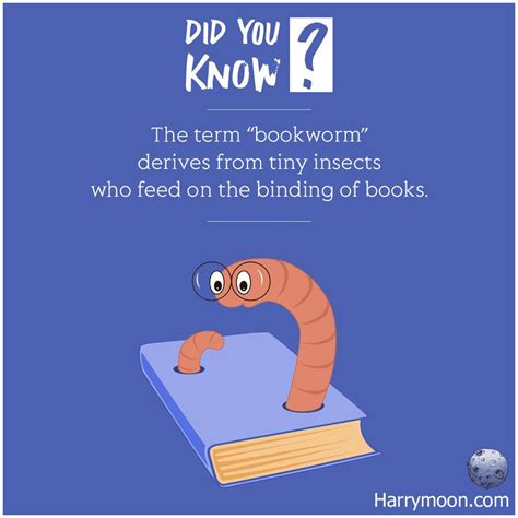 The term “bookworm” derives from tiny insects who feed on the binding of books. Book Worms, Did ...