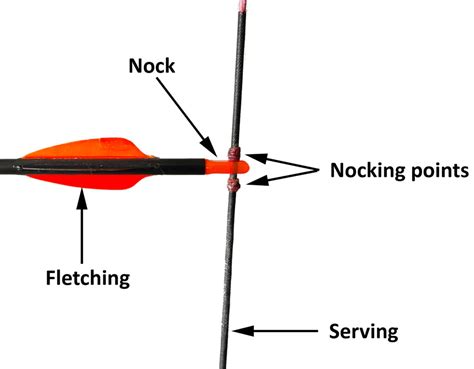 How to nock an arrow - follow these 5 steps - ImproveYourArchery.com