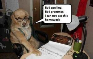 Funny Dog Homework Quotes. QuotesGram