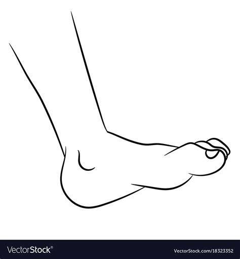 Foot cartoon - line drawn vector image on VectorStock | Vector drawing, Line drawing, Black and ...