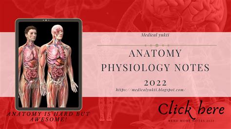 Respiratory System Anatomy Physiology - Medical Yukti