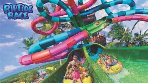 Florida’s first dueling water slide to debut at Aquatica Orlando in 2020